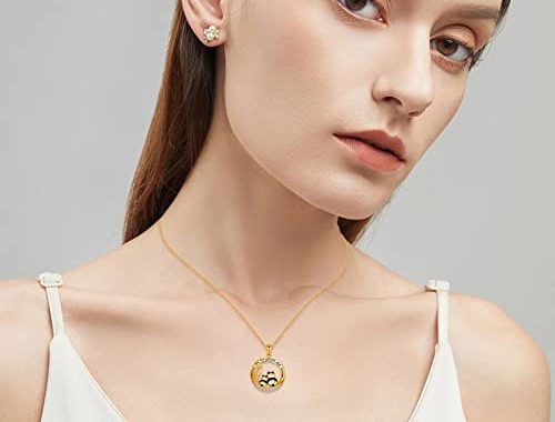 Amazon.com: Initial Birthstone Choker- Y Necklaces for Women Jewelry Pandas Valentine for Women Mom