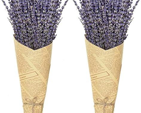 Timoo Dried Lavender Bundles 100% Natural Dried Lavender Flowers for Home Decoration, Photo Props, H