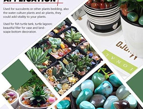 Amazon.com: Hilitchi Green Agate Stone Tumbled Stones for Plants Cacti & Succulents Bedding, Vas